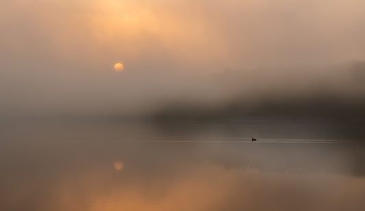 The loneliness of the long-distance runner. fototapet