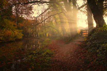 Sunset by the Canal fototapet