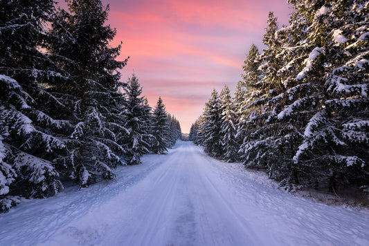 Road into the winter forest fototapet