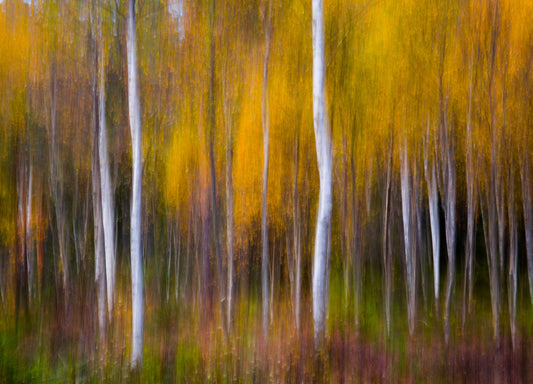 Abstract Fall fototapet