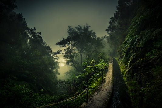 Levada Walk fototapet