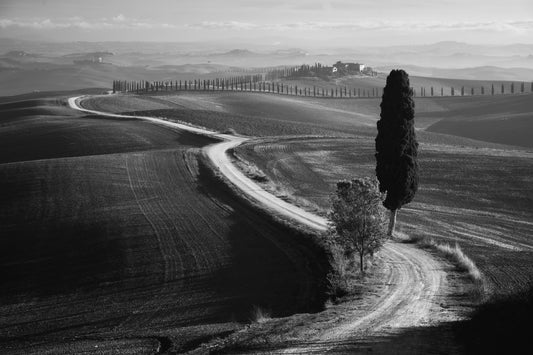 Morning in the field fototapet